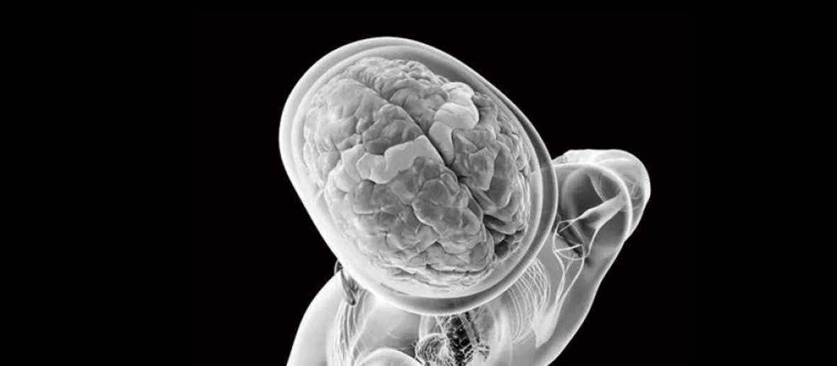 Top 10 News of Overseas S&T Advances for the Year 2025 <br/>— Elected by Members of the Chinese Academy of Sciences and the Chinese Academy of Engineering