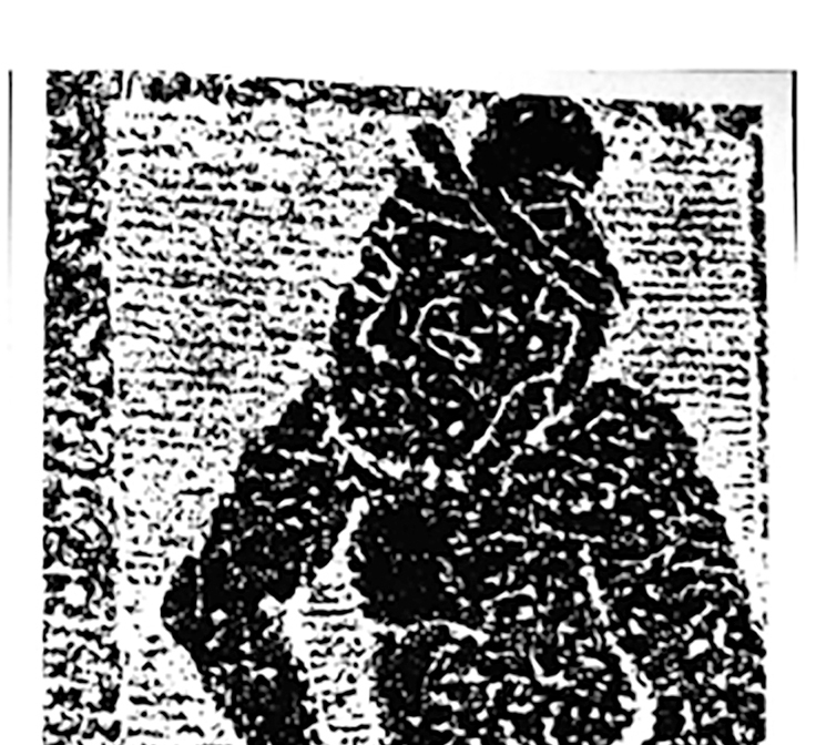 Dogs and Humans—Ancient Migration Partners