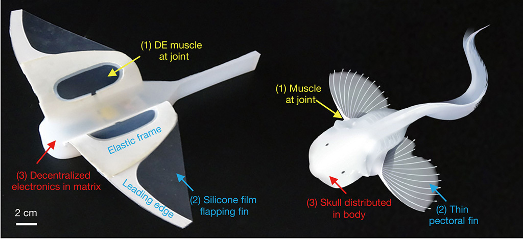 Self-powered Soft Robot Braved the Mariana Trench